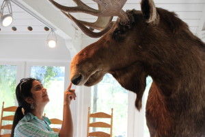 English immersion student meeting a Maine moose.
