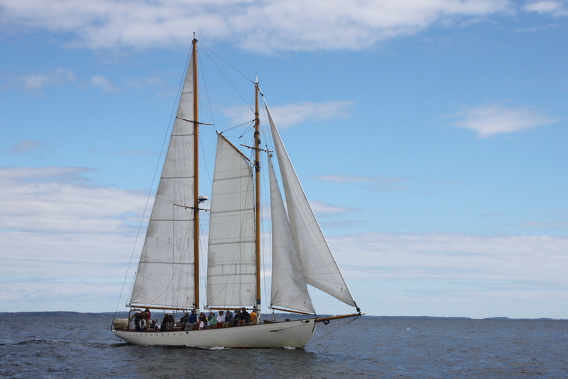 Sailboat on Penobscot Bay